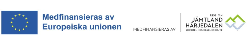 Finansiär till projeket