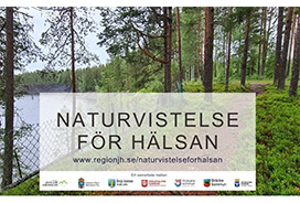 Naturvistelse för hälsan