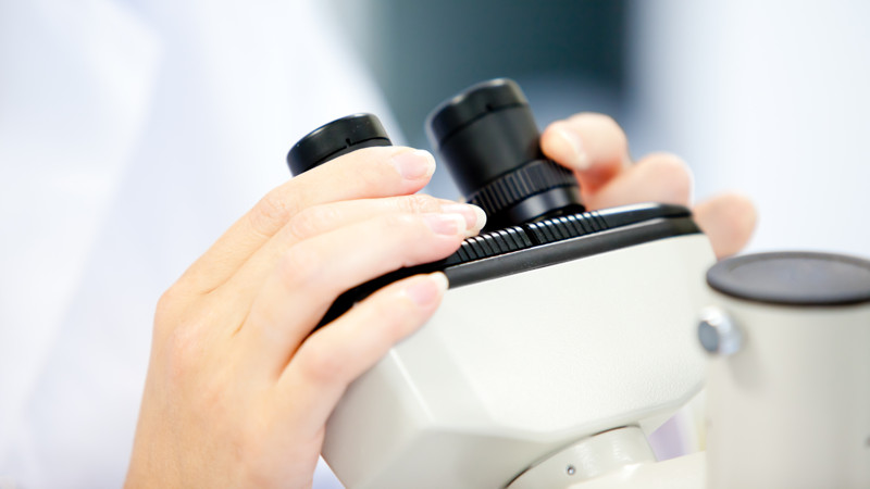 Två händer håller i ett mikroskåp.