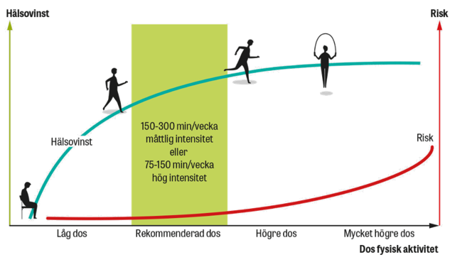 Diagram över hälsovinster av fysisk aktivitet