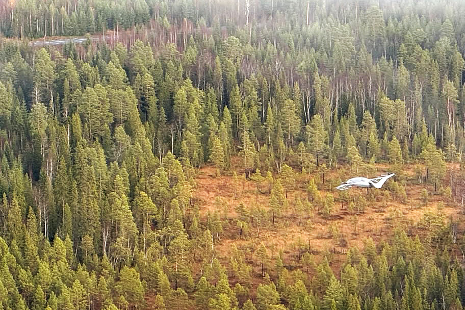 En drönare som flyger över skog och myrmark.