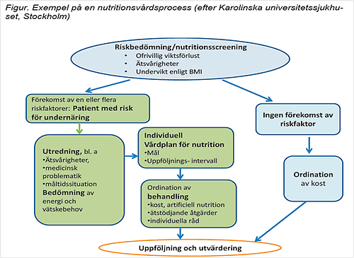 Exempel på en nutritionsvårdprocess