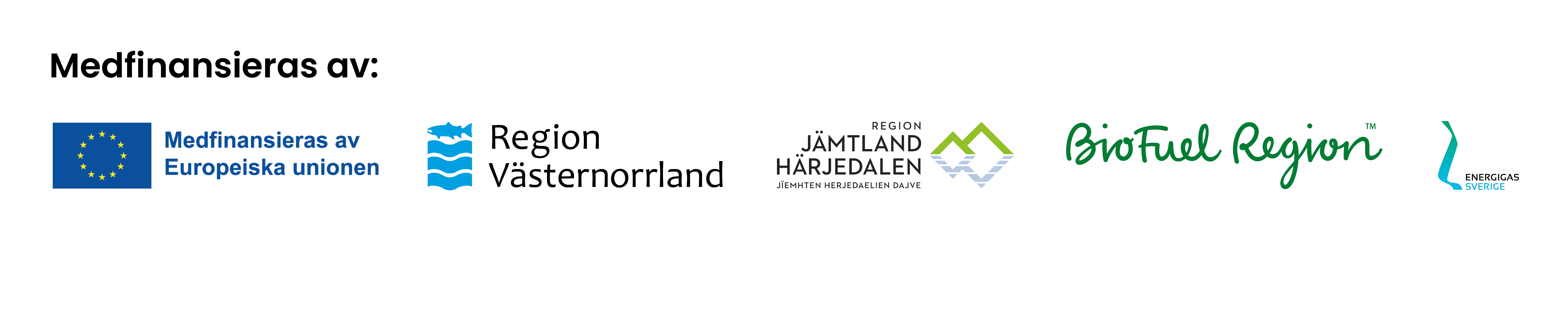 Roadshowen samarrangeras av projekten Förnybart 2030, Förnybart 2030 Västerbotten och Energigas Sverige. Förnybart 2030 drivs av Energikontoret Region Jämtland Härjedalen, BioFuel Region och Energikontoret Västernorrland. Det finansieras av EU:s regionalfond, Region Jämtland Härjedalen, Region Västernorrland och BioFuel Region.