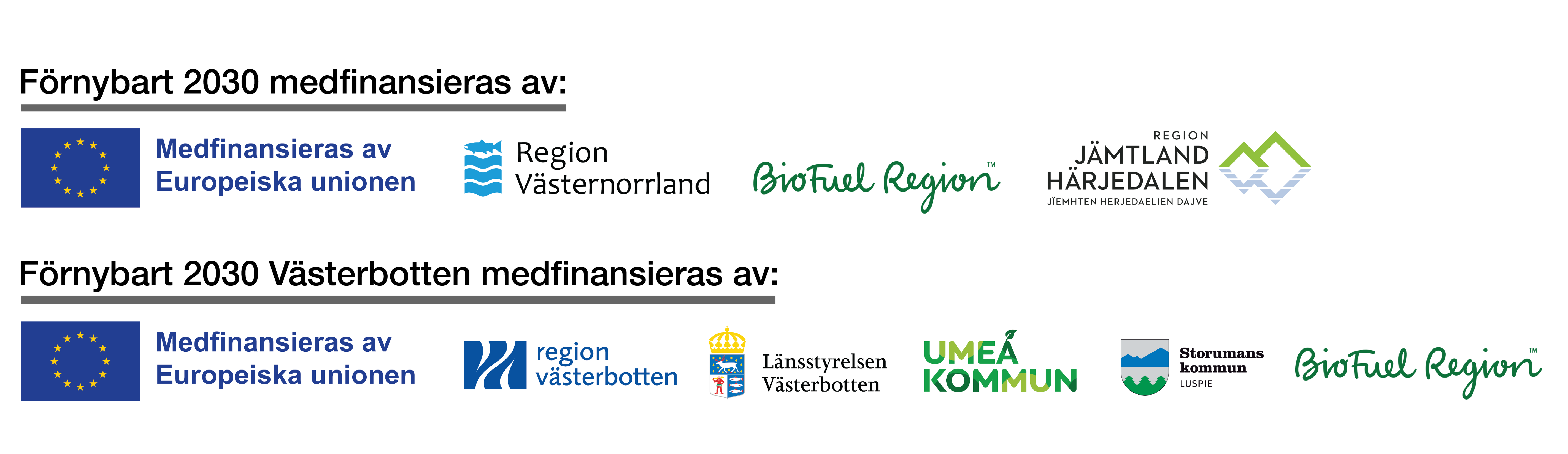 Träffen samarrangeras av projekten Förnybart 2030 och Förnybart 2030 Västerbotten. Förnybart 2030 drivs av Energikontoret Jämtland Härjedalen, Region Jämtland Härjedalen, BioFuel Region och Energikontoret Västernorrland. Det finansieras av EU:s regionalfond, Region Jämtland Härjedalen, Region Västernorrland och BioFuel Region.Förnybart 2030 Västerbotten drivs av BioFuel Region, Umeå kommun och Storumans kommun kommun. Projektet finansieras av dessa tre parter tillsammans med EU:s regionalfond