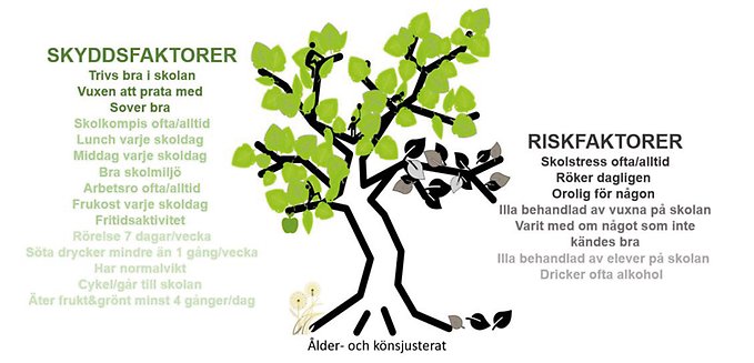 Hälsosamtalet trädet