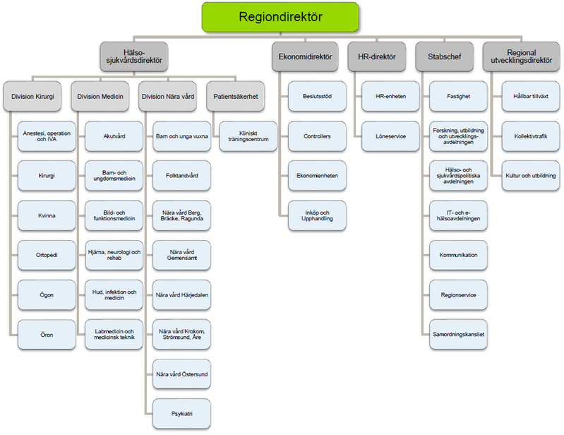 Tjänstemannaorganisation Regiondirektör. Region Jämtland Härjedalen