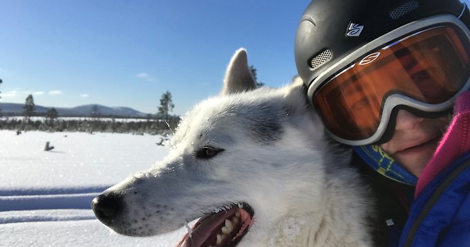 en kvinna med skidglasögon och hjälm kramar om en hund