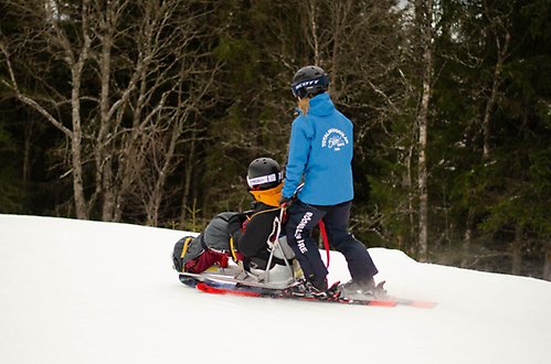 Bild på ryggen på en åkare i sitski och en följeslagare